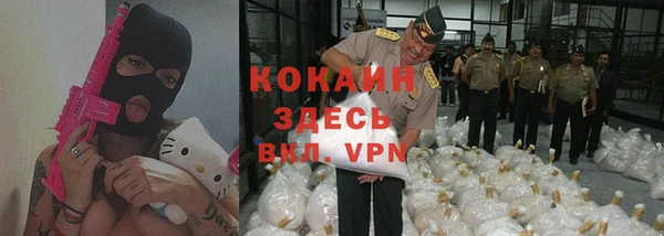 прущие грибы Заводоуковск