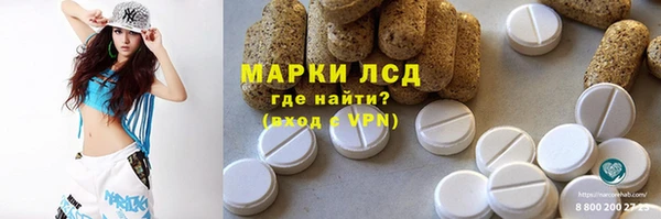 прущие грибы Заводоуковск