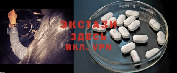 прущие грибы Заводоуковск