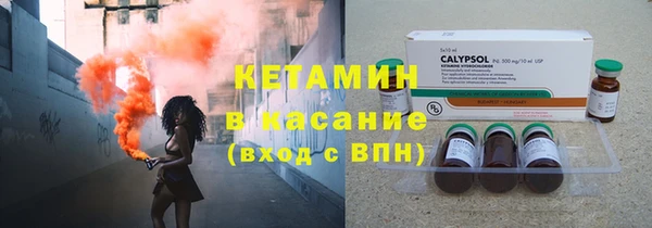 прущие грибы Заводоуковск
