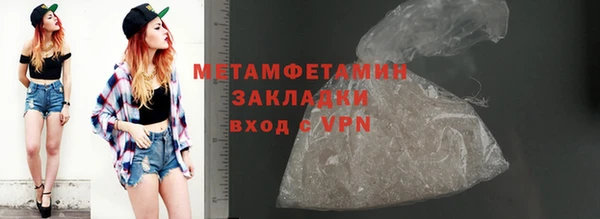 прущие грибы Заводоуковск