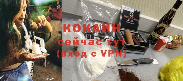 прущие грибы Заводоуковск