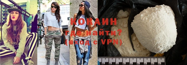 прущие грибы Заводоуковск