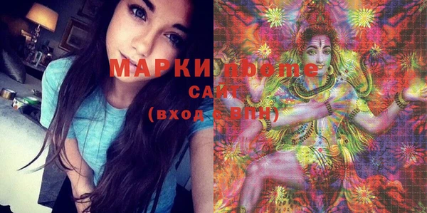 прущие грибы Заводоуковск