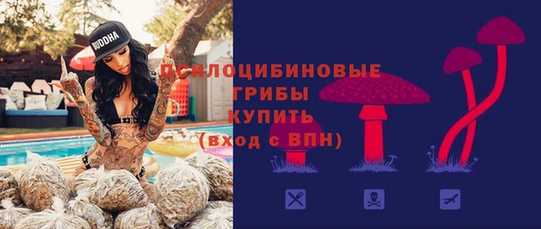 прущие грибы Заводоуковск